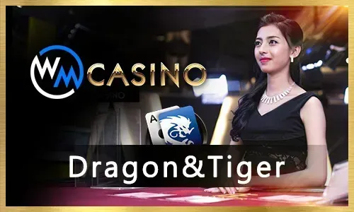 PH333 Slot Machines